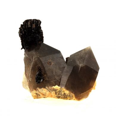 Goethite, Smoky Quartz.