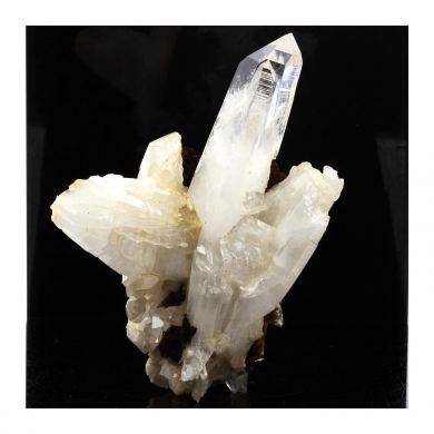 Quartz Muzo.