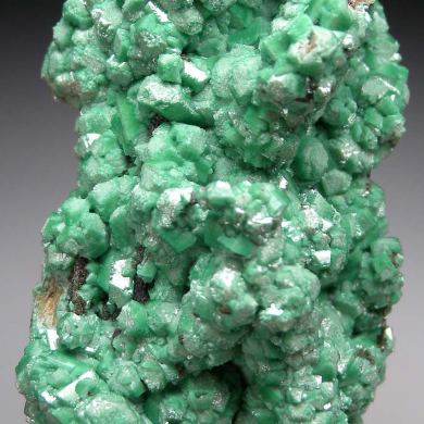 Zincolivenite (Cuprian Adamite) on Quartz