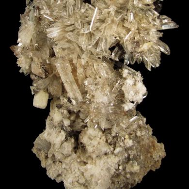 Creedite