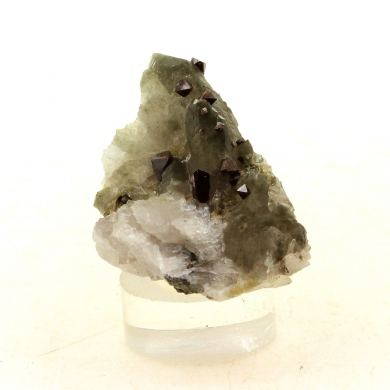 Anatase + Quartz + Chlorite.