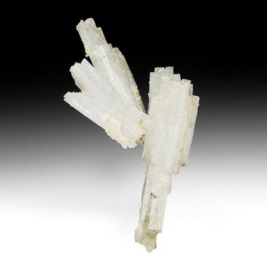 Pectolite with Calcite, Grossular