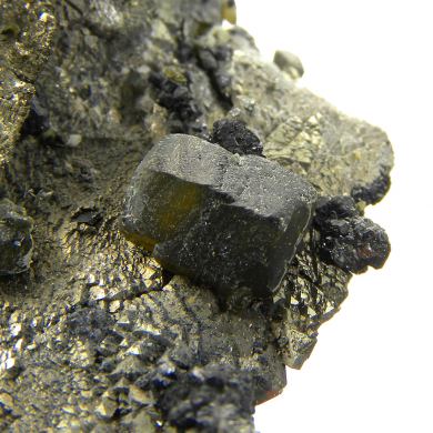 Pyrite (replacing Siderite) with Siderite and Stannite