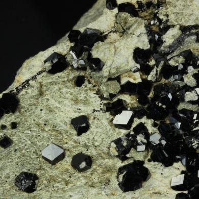 Andradite garnet ( var. Melanite )