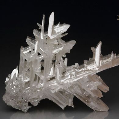 reticulated CERUSSITE