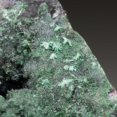 Rouaite with Cuprite, Malachite