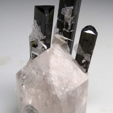 Tourmaline on Quartz