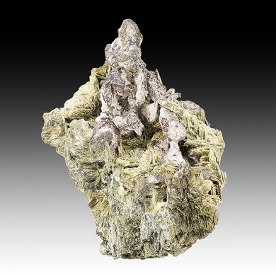 Silver with Actinolite