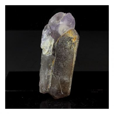 Smoky Scepter Quartz Amethyst. 186.0 ct.