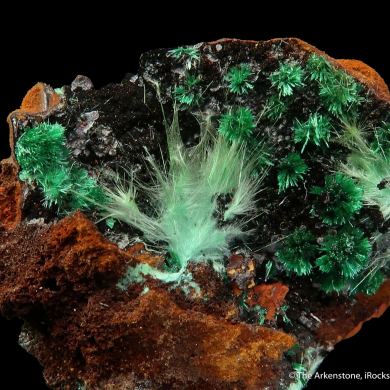 Agardite-(Nd), Brochantite, Malachite