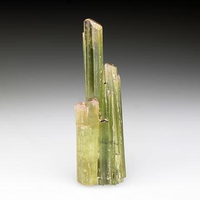 Elbaite