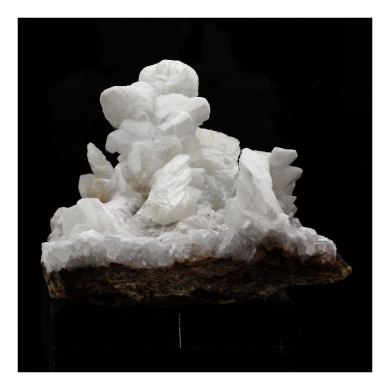 Calcite after Selenite.