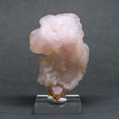 Quartz var. Chalcedony