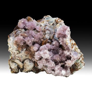 Creedite