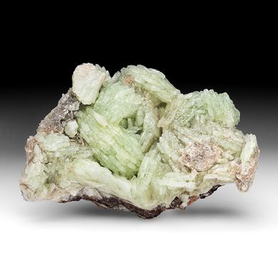 Prehnite with Actinolite, Ferroactinolite