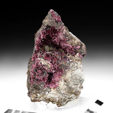 Erythrite with Phlogopite