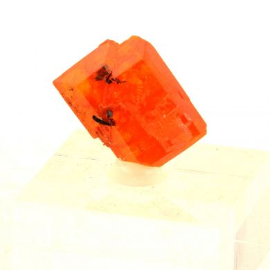 Wulfenite. 28.42 ct.