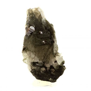 Anatase + Quartz + Chlorite.