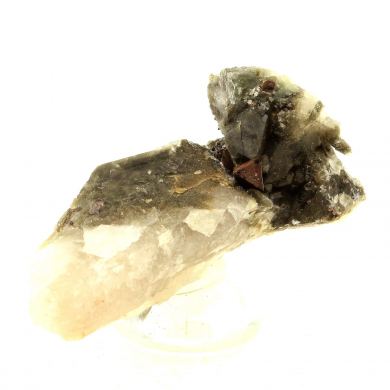 Anatase + Quartz + Chlorite.