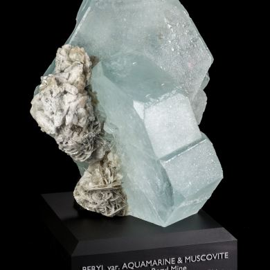 Giant Pingwu Aquamarine