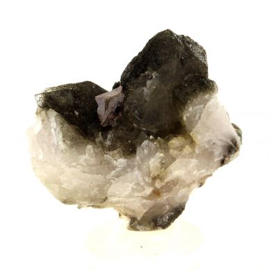 Anatase + Quartz + Chlorite.