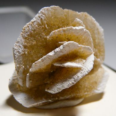 Selenite 'rose'