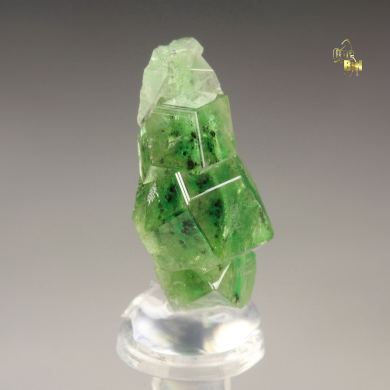 gem GARNET var. GROSSULAR with GREEN CHROMIAN PHANTOMS, CHROMITE