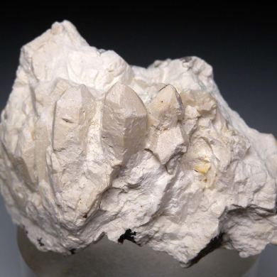 Talc ps. Quartz