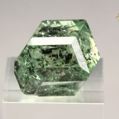 gem GARNET var. GROSSULAR var. TSAVORITE - floater