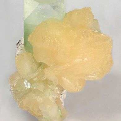 Fluorapophyllite