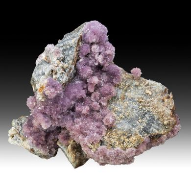 Creedite