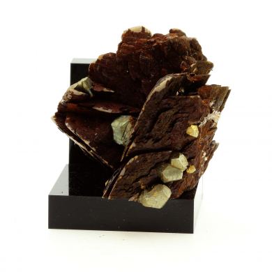 Siderite, Quartz, Pyrite.