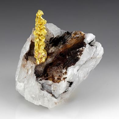 Gold with Quartz