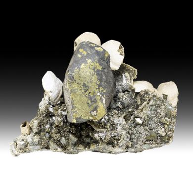 Chalcopyrite with Stannite, Siderite, Fluorapatite, Muscovite, Arsenopyrite