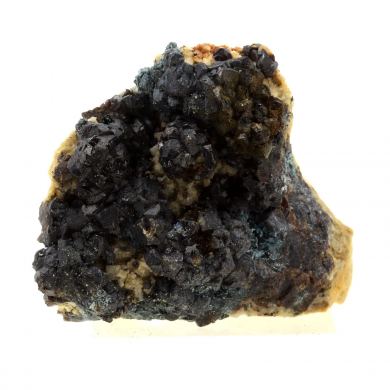 Bournonite + Sphalerite.