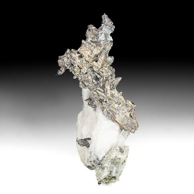 Allargentum after Dyscrasite with Calcite