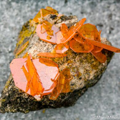 Wulfenite