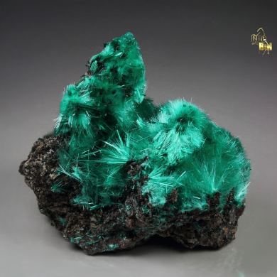 BROCHANTITE