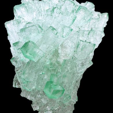 Halite, paratacamite