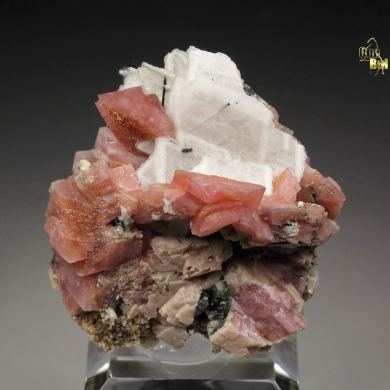 RHODOCHROSITE, ALBITE