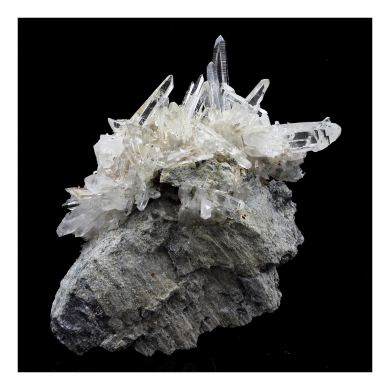 Quartz Muzo.