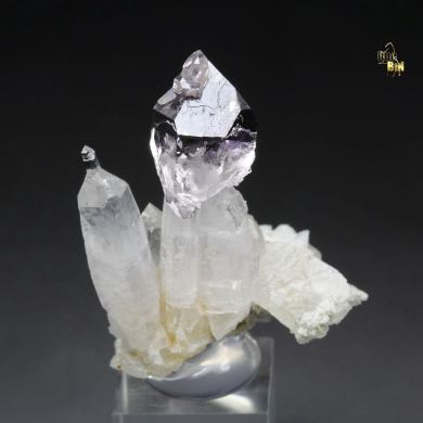 scepter QUARTZ