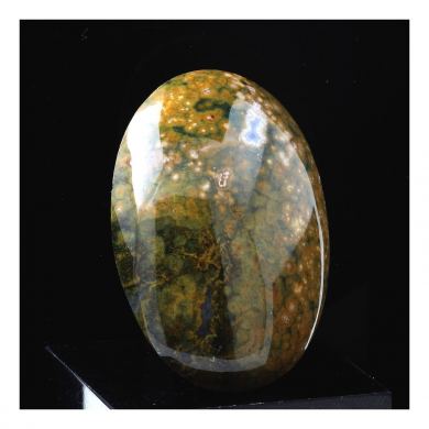 Orbicular Jasper.