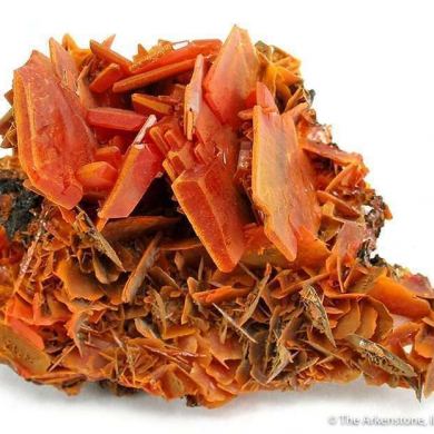 Wulfenite