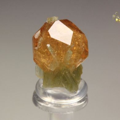 gem GARNET var. GROSSULAR, DIOPSIDE