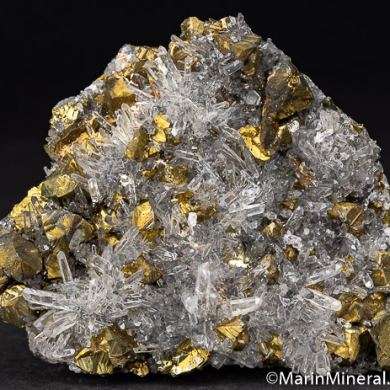 Chalcopyrite with Quartz