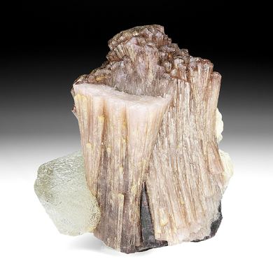 Tourmaline with Quartz