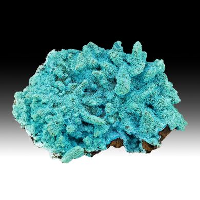 Chrysocolla pseudomorph