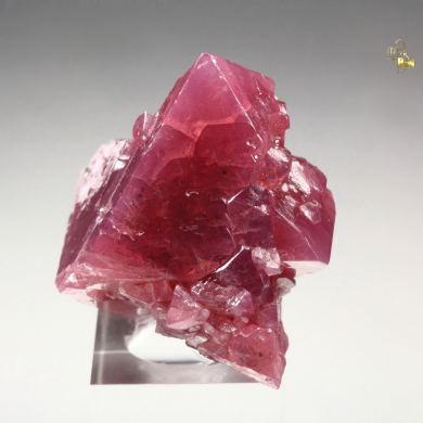 SPINEL