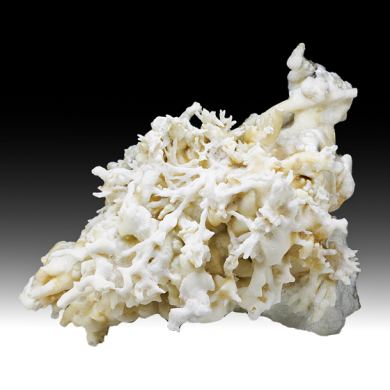 Aragonite